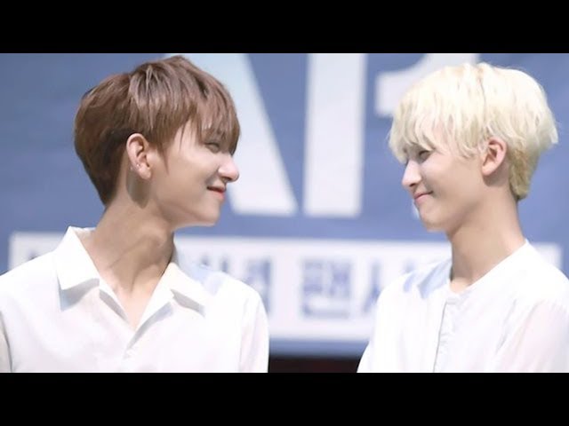 absolute proof that jihan are EVIL (SEVENTEEN)