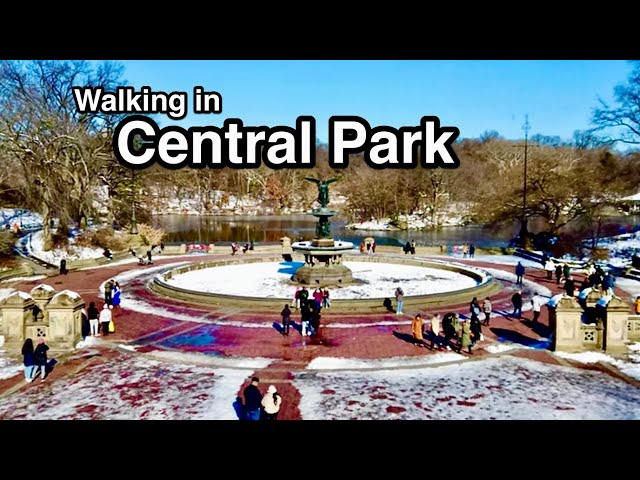 New York City | Walking in Central Park