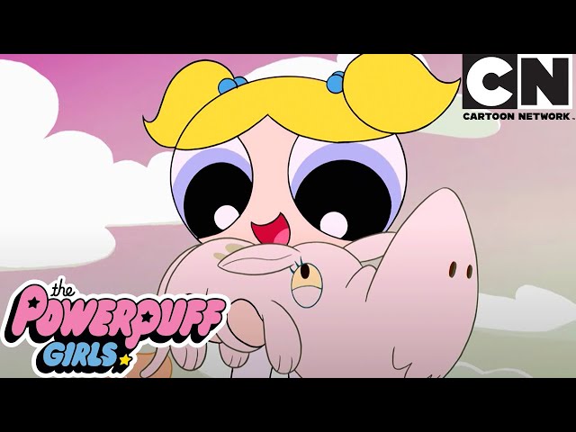 ANIMAL LOVERS COMPILATION | The Powerpuff Girls | Cartoon Network