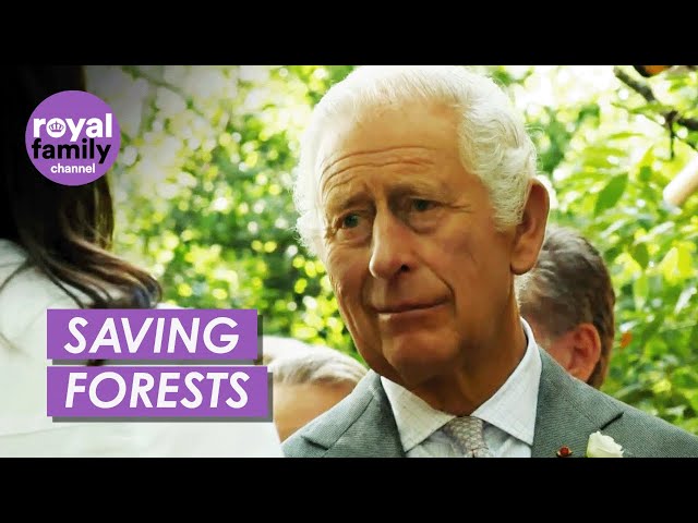 King Charles Visits 'Experimental Forest' That May Help Prevent Wildfires