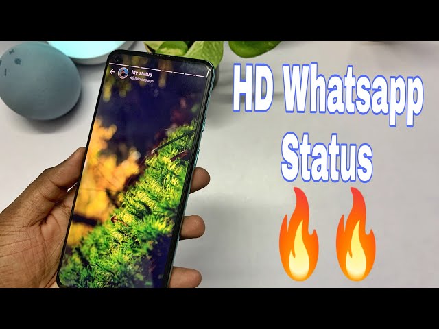 Upload High Quality Whatsapp Status Images | No Quality Loss | Latest Trick