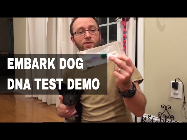 Embark Dog DNA Test Kit Demo - Dog DNA Sample Collection