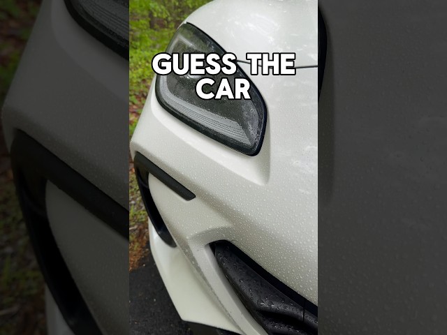 Guess away, auto experts!