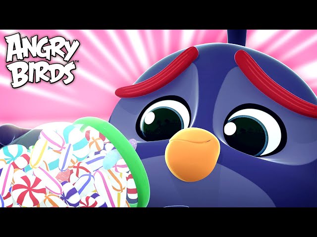 Angry Birds | Best of Bomb 🧡🧡🧡