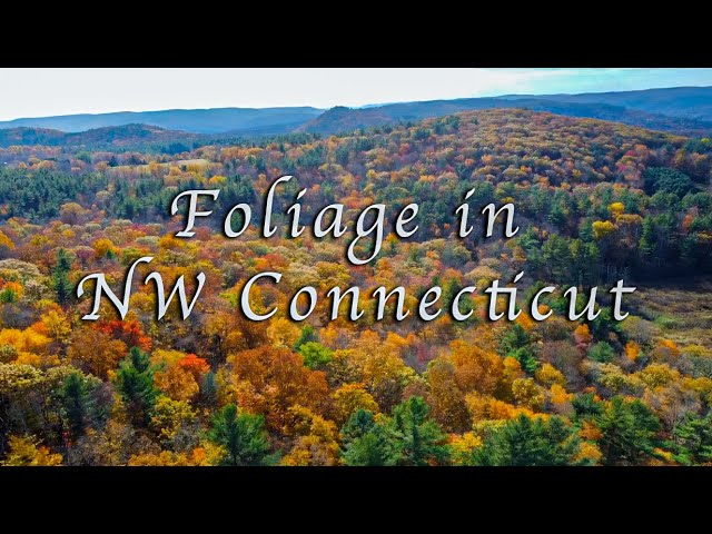 Foliage in Northwest Connecticut, October 25, 2023