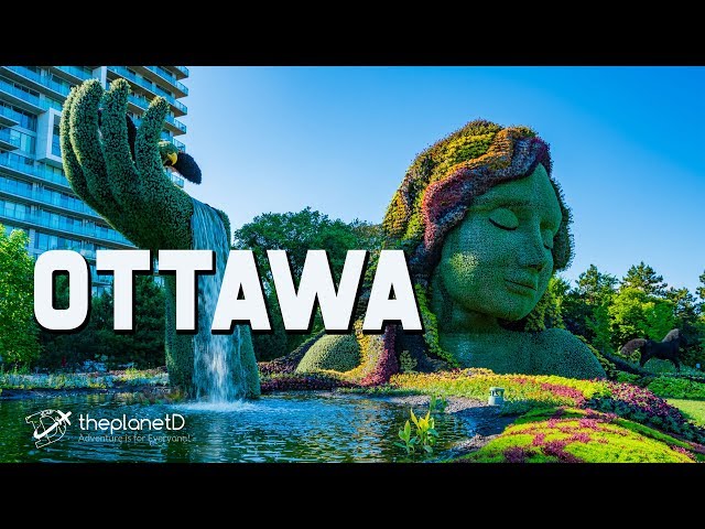 Things to do in Ottawa - Canadian Travel Vlog | The Planet D