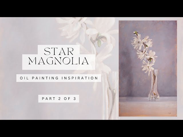 Star Magnolia oil painting inspiration pt 2   relaxing   no narration
