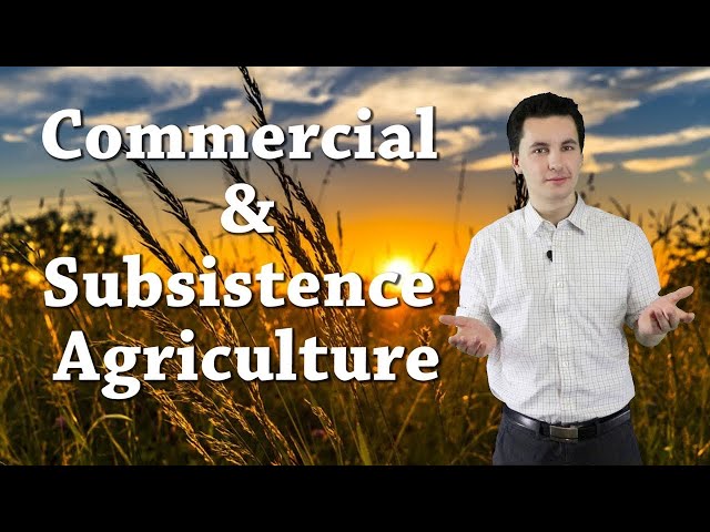 Commercial/Subsistence Agriculture #Shorts