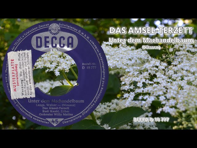 Das Amsel Terzett · Unter dem Machandelbaum · Rudi Knabl, Zither · Orchester Willy Mattes