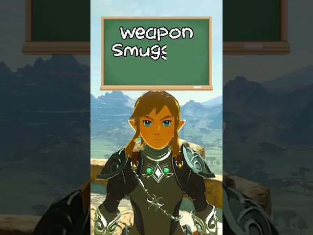 Weapon Smuggling 101 | Breath of the Wild Glitches