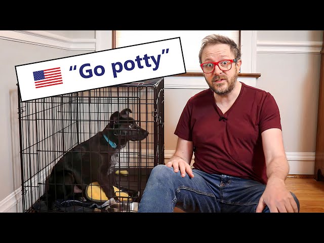 5 Pet Words I Only Picked Up After Moving to America