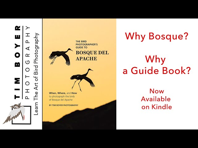 Why Bosque & Why a Guide Book?