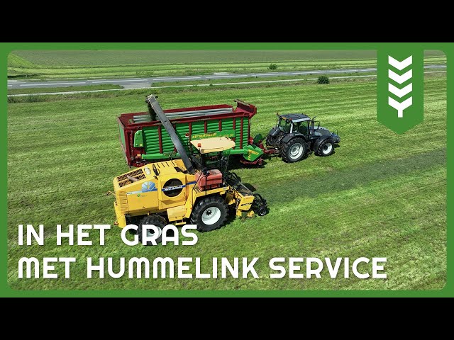 Gras hakselen met Hummelink Service