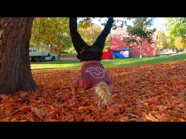 Fall Timez - The Raw Movement series - Crazy Calisthenics and movement edit
