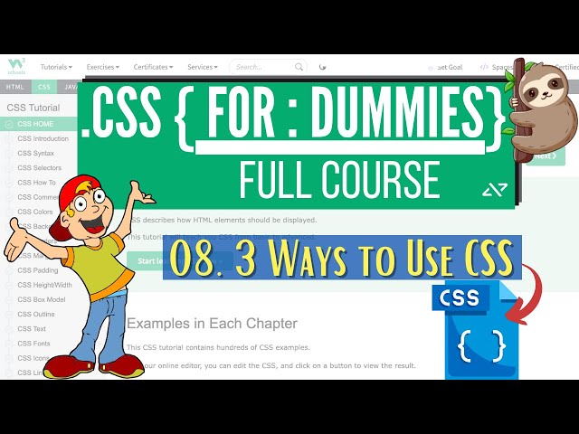 CSS for Dummies: 08  Three Ways to Use CSS | Inline Internal External CSS