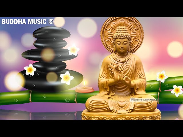 Meditation Music for Positive Energy - Remove All Negative Energy | Buddhist Meditation Music