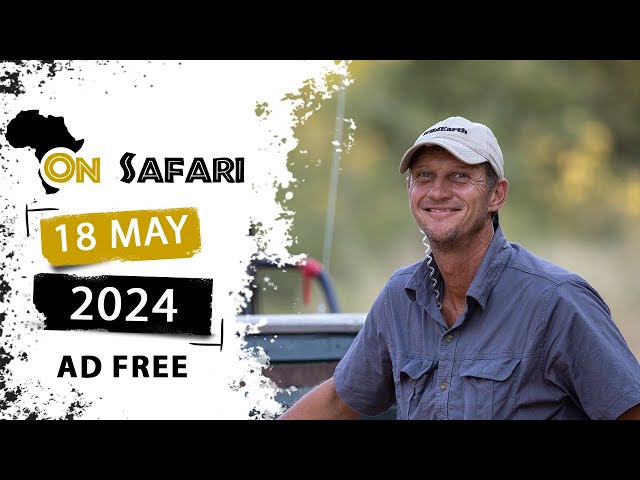 On Safari - 18 May 2024 - AD FREE