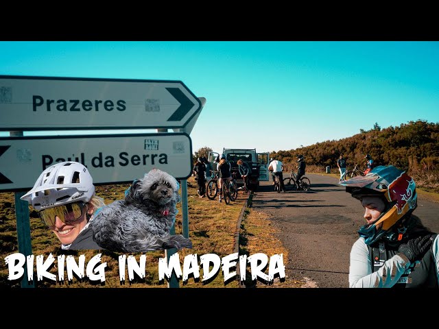 JUNGLE RIDING IN MADEIRA I Vali Vlog