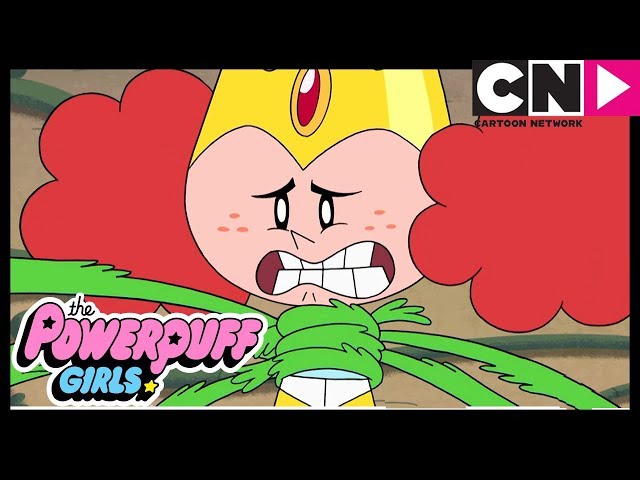 Powerpuff Girls | Is Morbucks Cheating?  | Cartoon Network