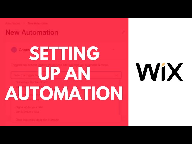 How to Set Up an Automation on Your Wix Website?
