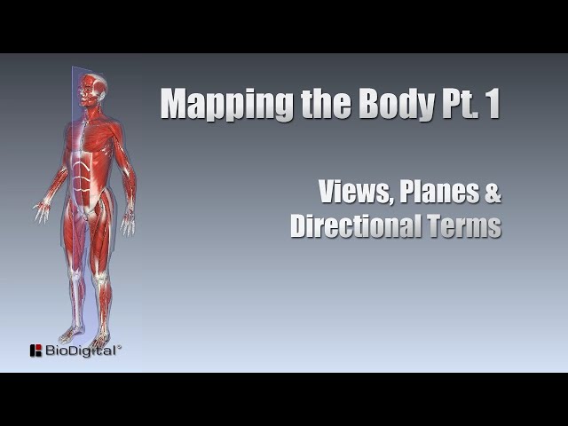Mapping the Body... (Part 1)