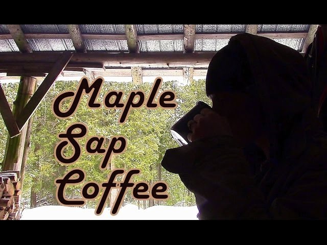 Maple Sap Coffee