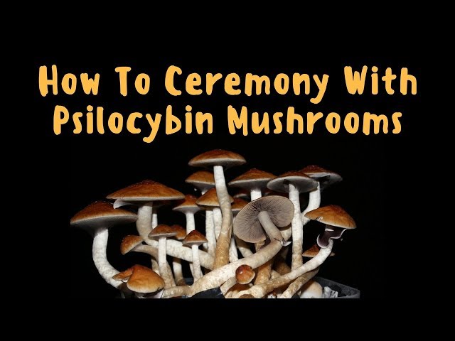 How To Ceremony with Psilocybin Mushrooms | Psychedelic Spirituality