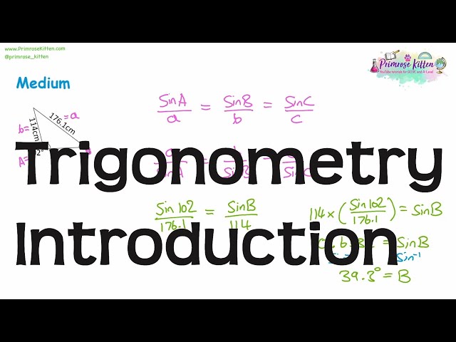 Trigonometry Introduction | Revision for Maths A-Level and IB