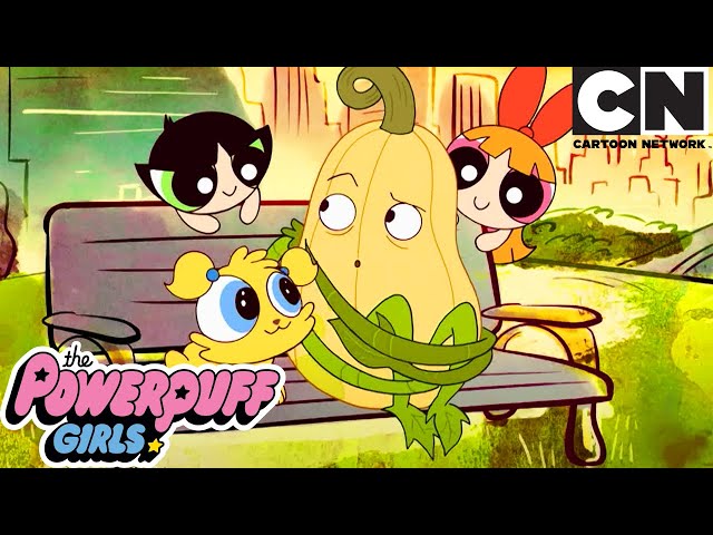 Pumpkins - The Squashening | The Powerpuff Girls | Cartoon Network