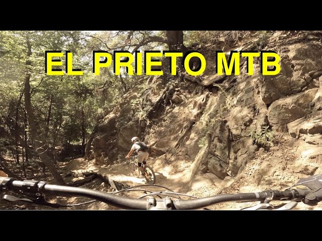Pasadena MTB | El Prieto Trail