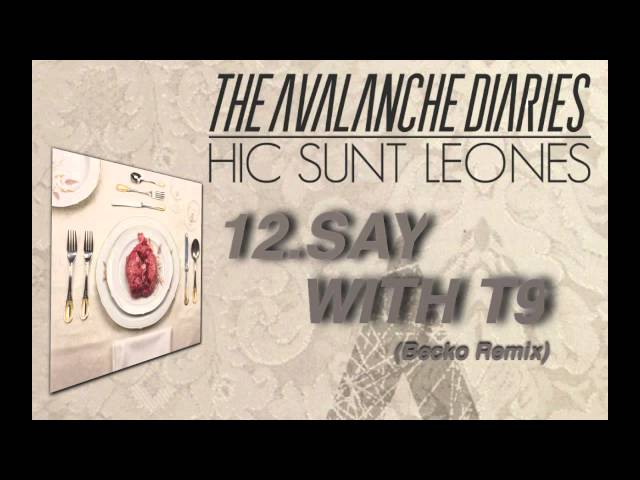 The Avalanche Diaries - Say It With T9 (Becko Remix)