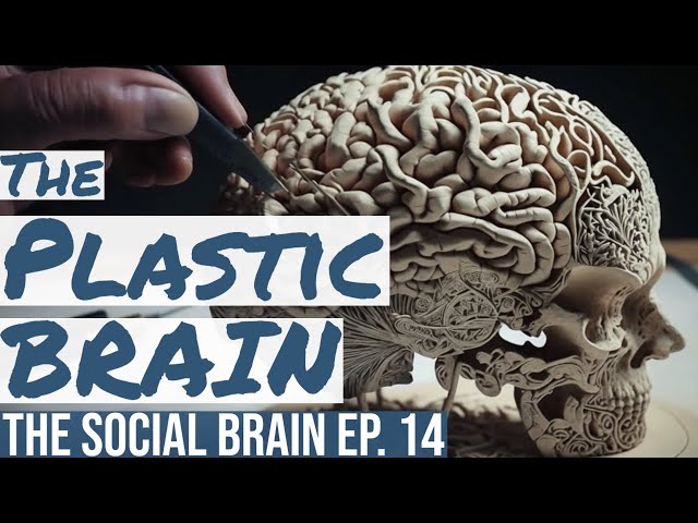 Rewire Your Brain: How Neuroplasticity Can Transform Your Life (The Social Brain ep. 14)