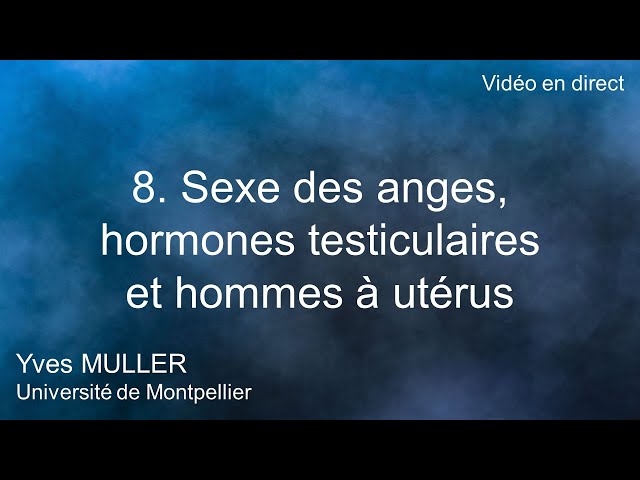 8. Sexe des anges, hormones testiculaires et hommes à utérus