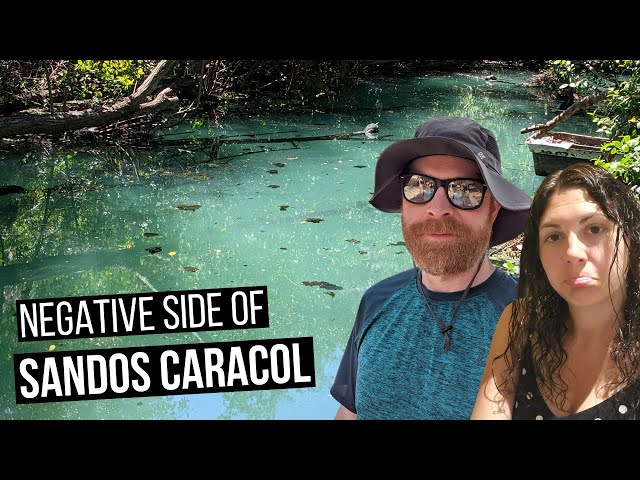 4 Negative Things About Our Week at SANDOS CARACOL Eco Resort