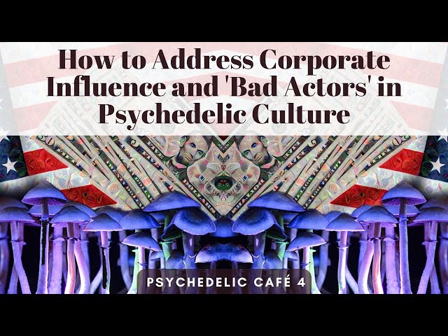 Corporate Influence and 'Bad Actors' in Psychedelic Culture | Psychedelic Café 4
