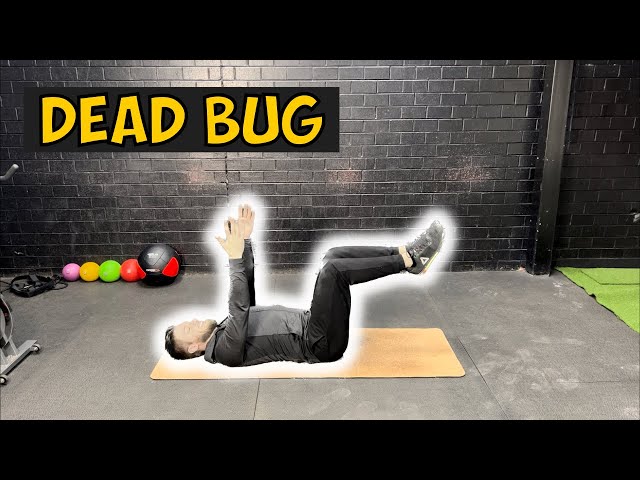 How to do The Dead Bug Exercise | 2 Minute Tutorials