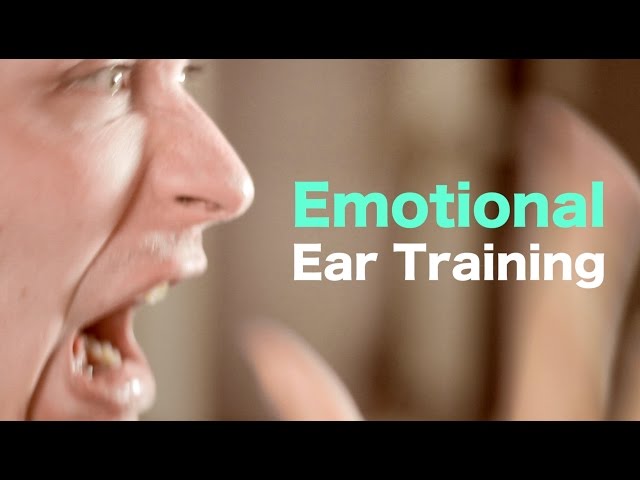Emotional Ear Training (ontology + phenomenology in ear training) [ AN's Bass Lessons #21 ]