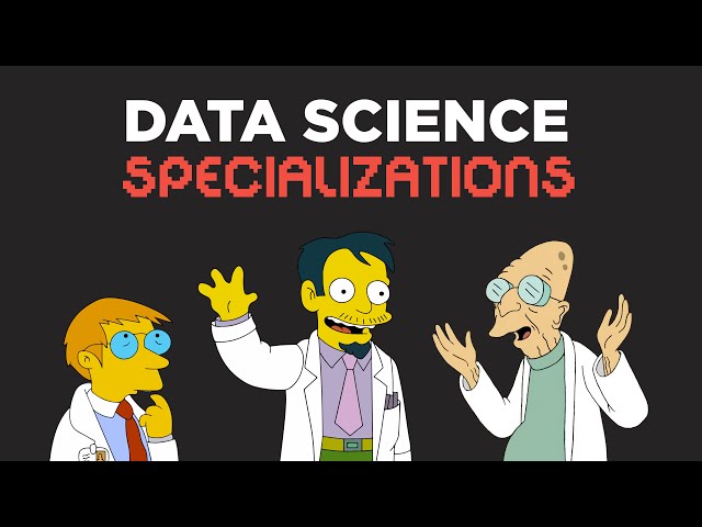 What type of Data Scientist are you?