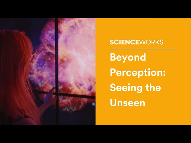 Beyond Perception: Seeing the Unseen