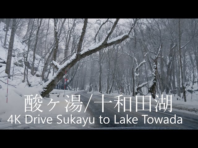 4K Snow Drive Sukayu to Lake Towada / 酸ヶ湯→十和田湖 62km