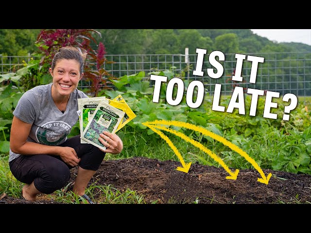 Did I miss my chance for a garden this year? // Homesteading