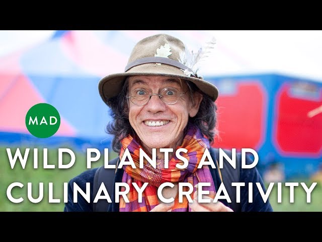 Wild Plants & Culinary Creativity | Francois Couplan