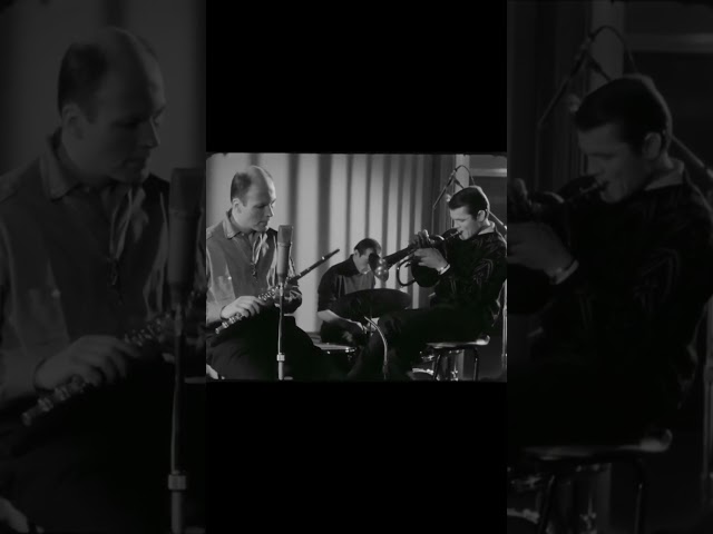 Chet Baker play solo. "Brussels 1964" #jazz #music #chetbaker #flugelhorn