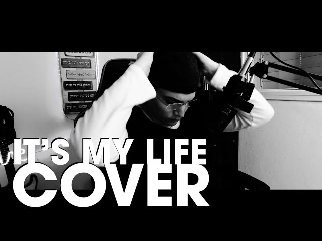 It's My Life Cover song - Bon Jovi
