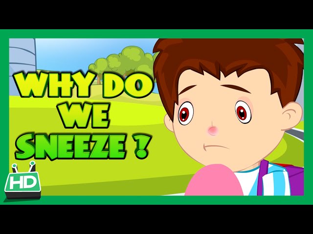 Why Do We Sneeze ?