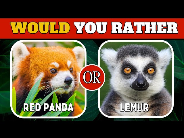 Would You Rather   Animal Edition