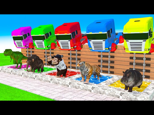 5 Giant Duck, Monkey, Piglet, Tiger, dog, cat, cow, Sheep, Transfiguration funny animal 2023
