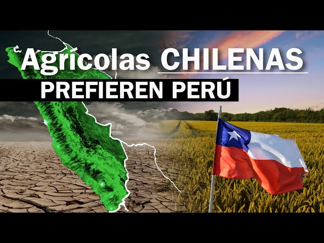 Por qué las empresas agrícolas de Chile prefieren Perú? Análisis (situación actual)