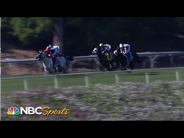 2024 Monrovia Stakes (FULL RACE) | NBC Sports