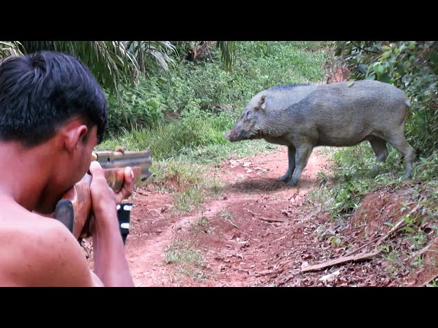 Full video: 2 days of hunting,wild boar and pigeon,very tiring struggle,for survival